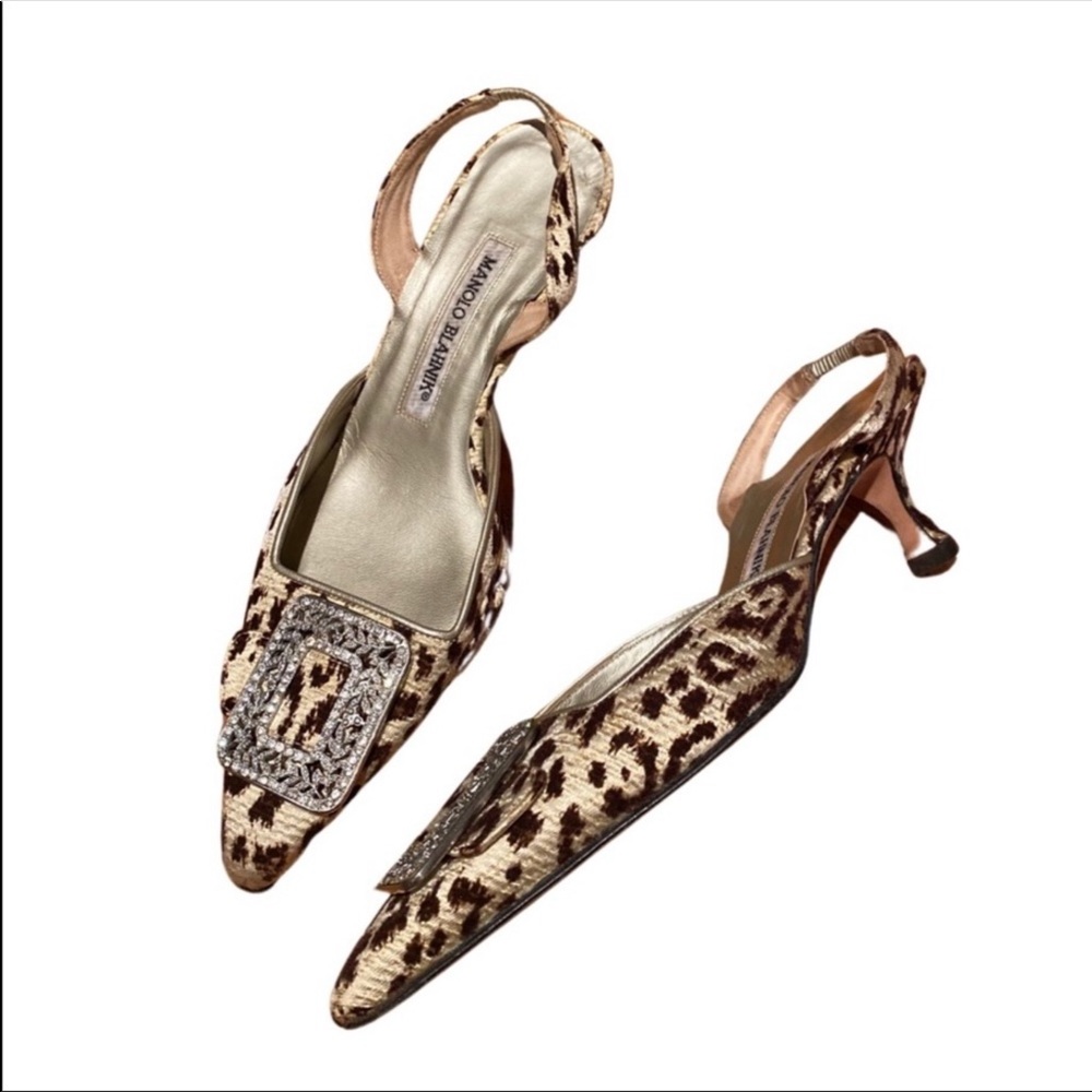 ❌SOLD❌ Manolo Blahnik Hangisi Kitten Heels Leopard with Buckle Size 36.5